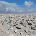 Rust Aan De Kust Casa de Férias *