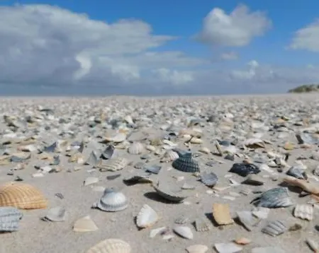 Rust Aan De Kust Casa vacanze *